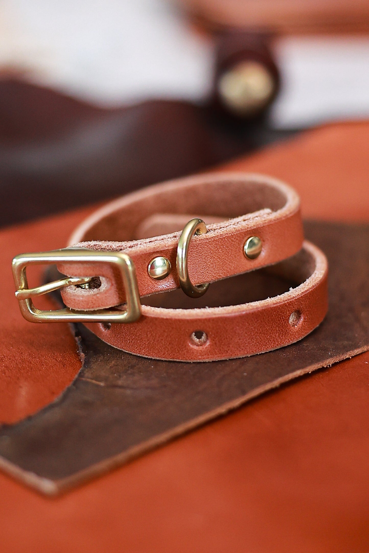 Classic Leather Collar for Dogs or Cats - Small