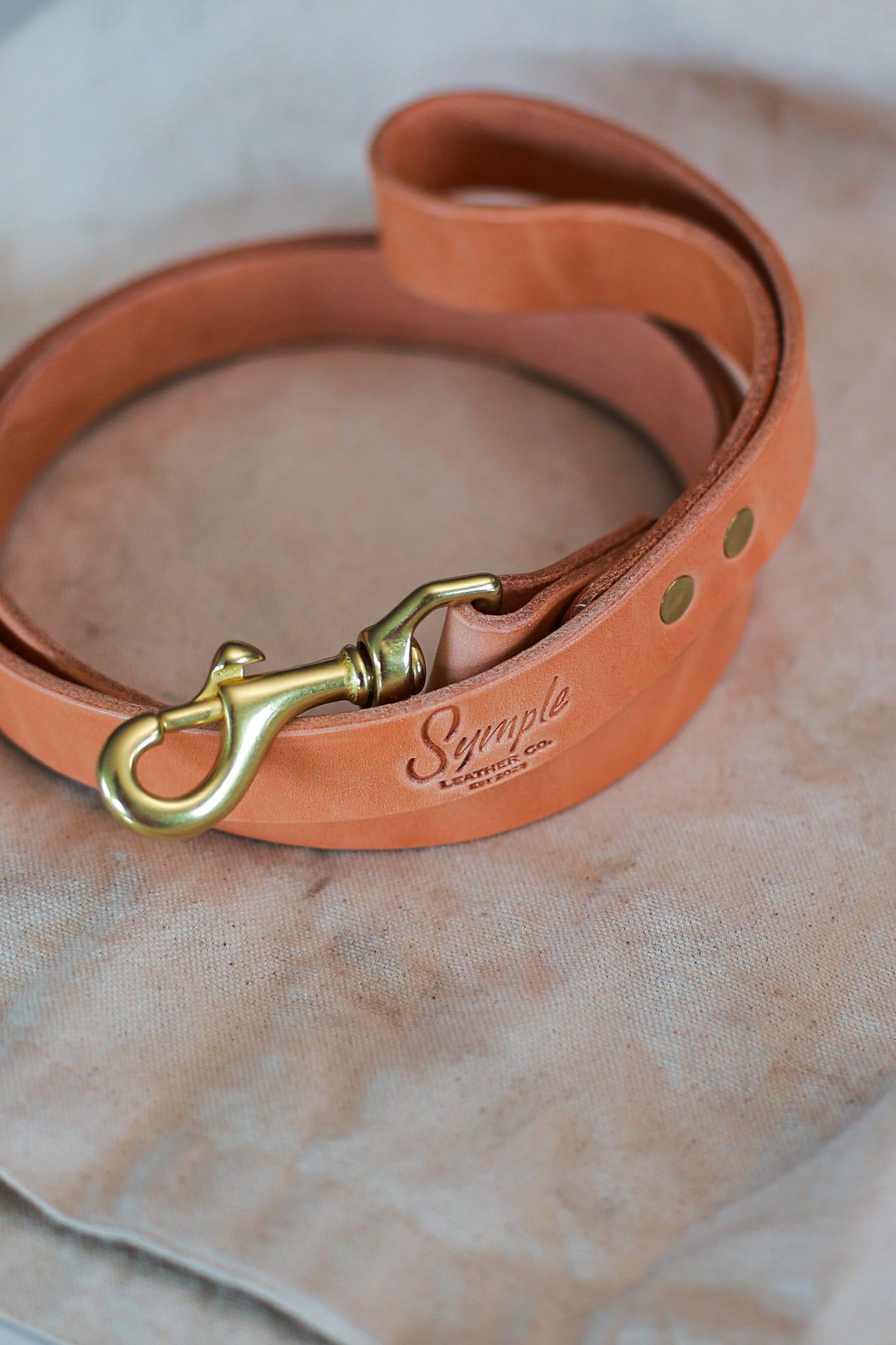 Classic Leather Leash