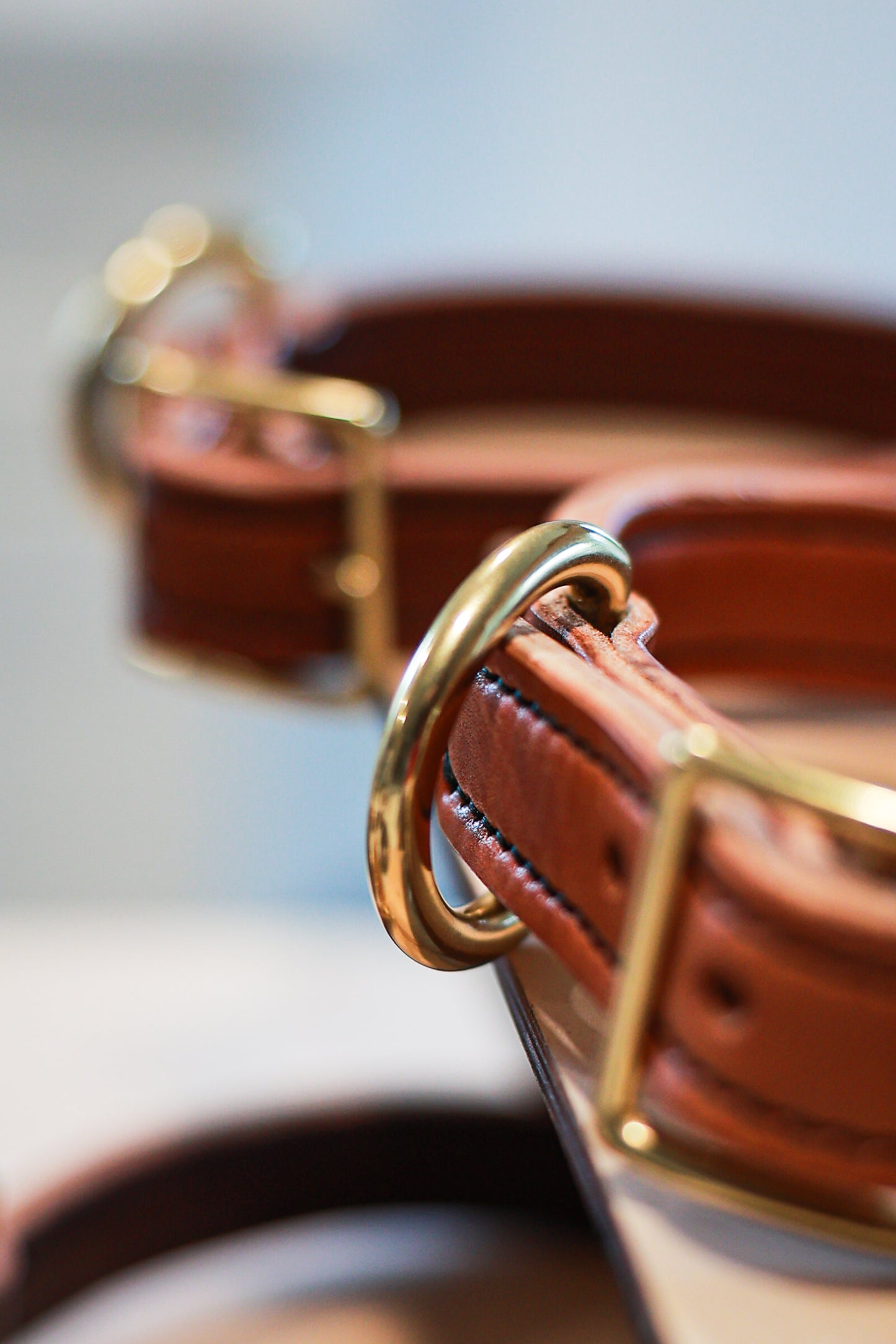 Classic Leather Dog Collars - Medium / Large