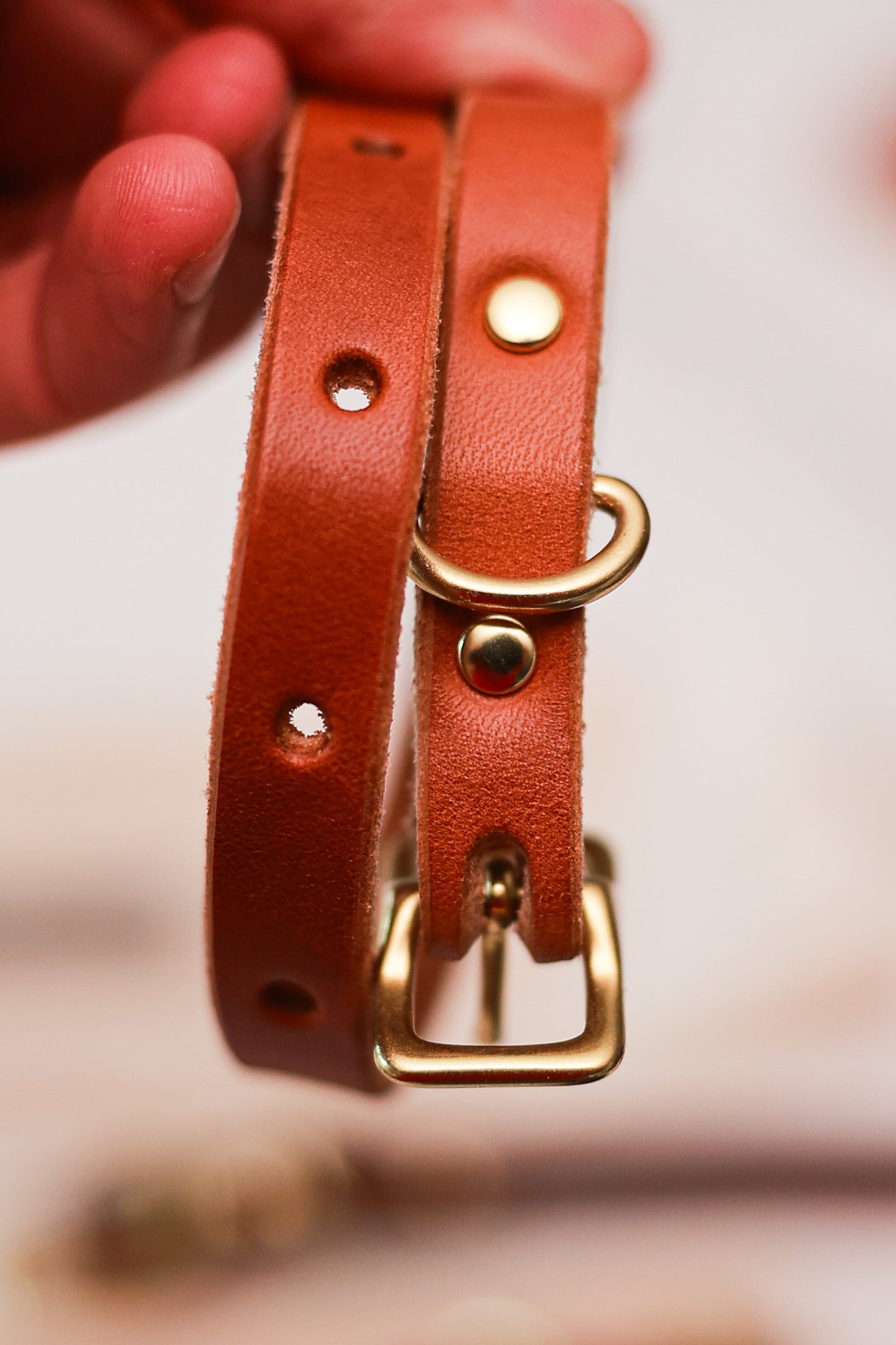 Classic Leather Collar for Dogs or Cats - Small