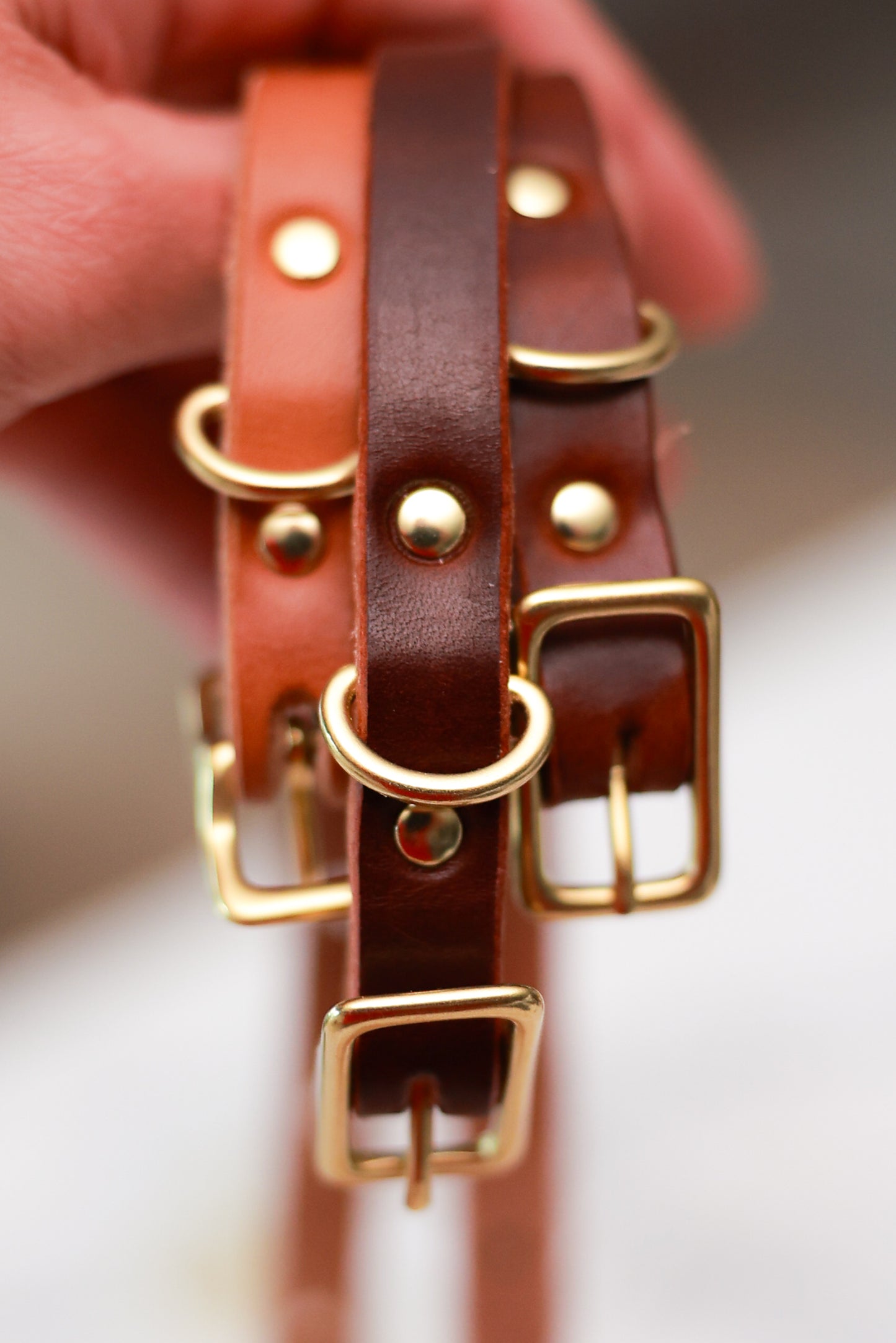 Classic Leather Collar for Dogs or Cats - Small