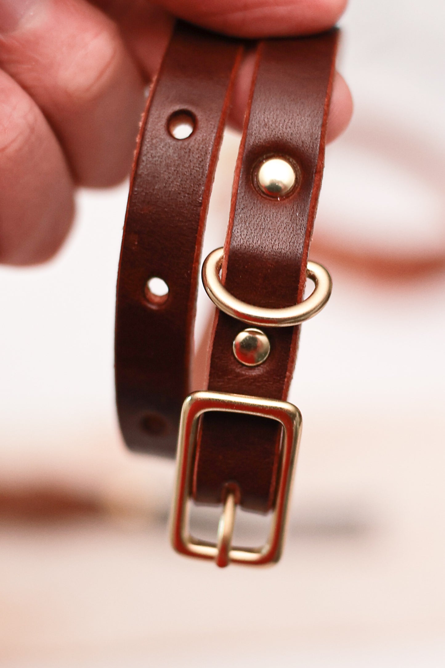Classic Leather Collar for Dogs or Cats - Small