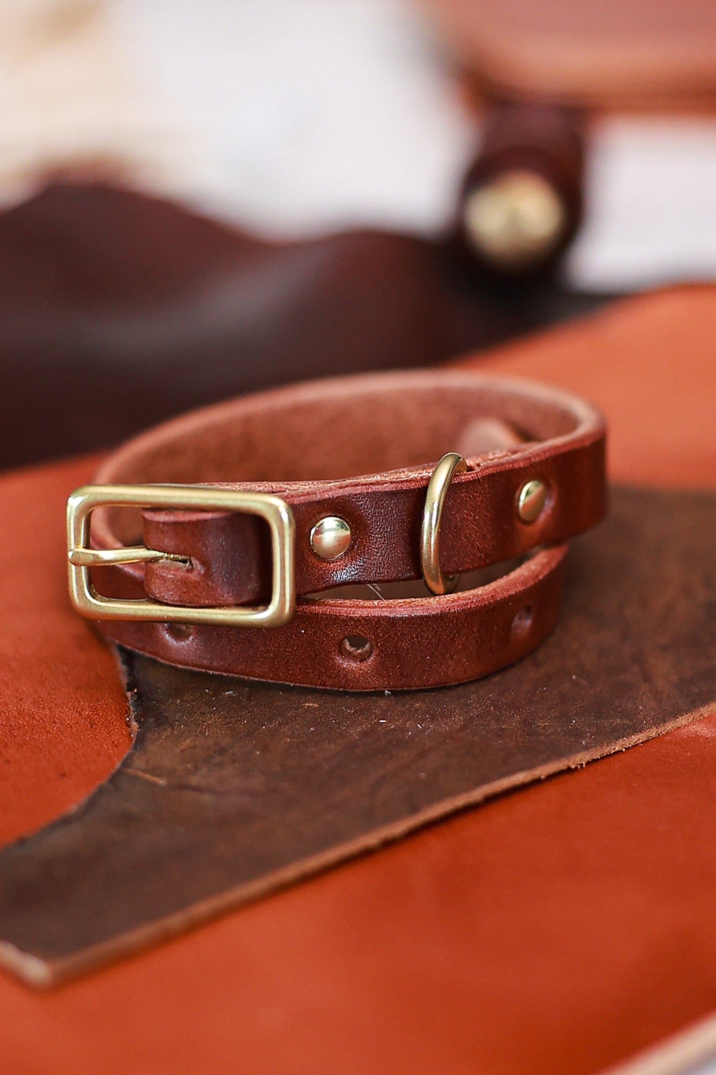 Classic Leather Collar for Dogs or Cats - Small