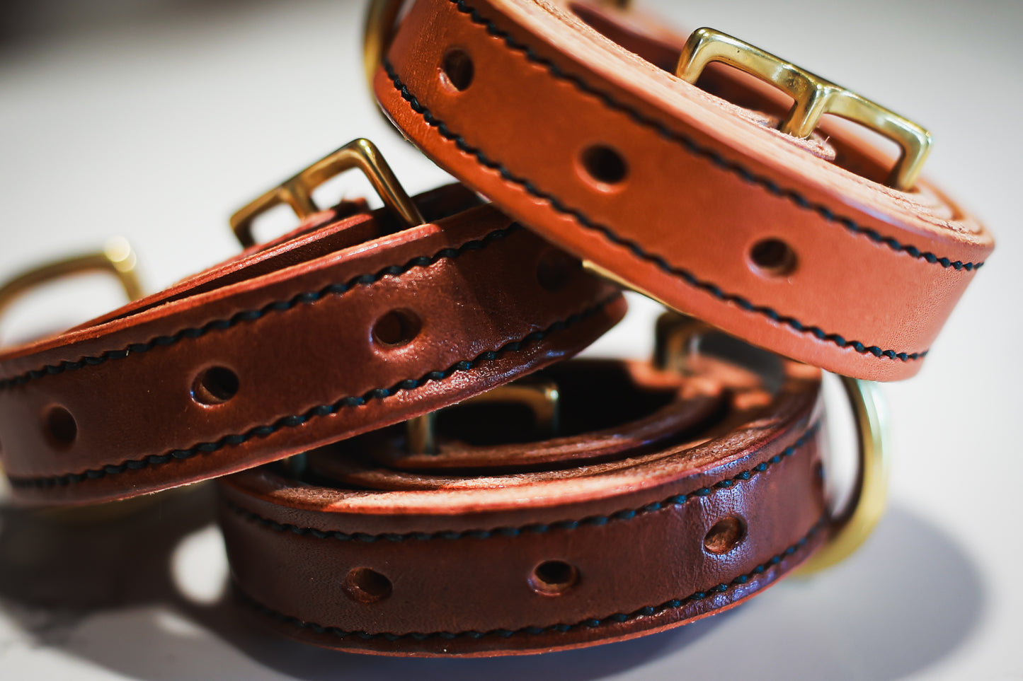 Classic Leather Dog Collars - Medium / Large