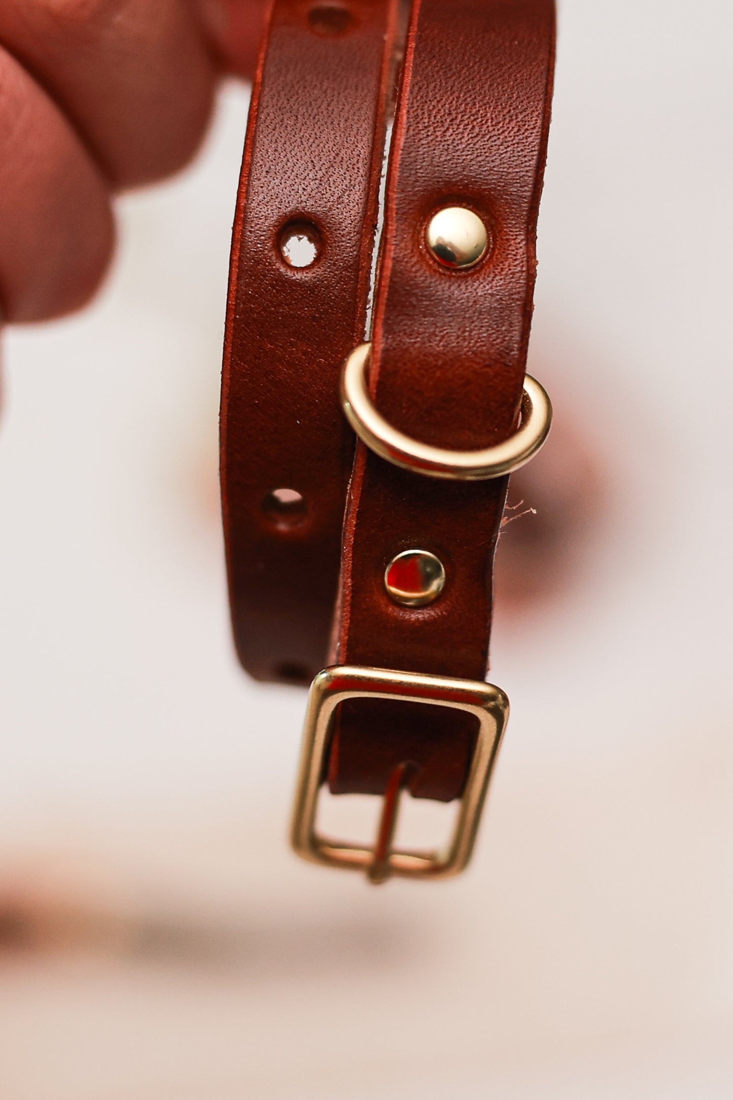 Classic Leather Collar for Dogs or Cats - Small
