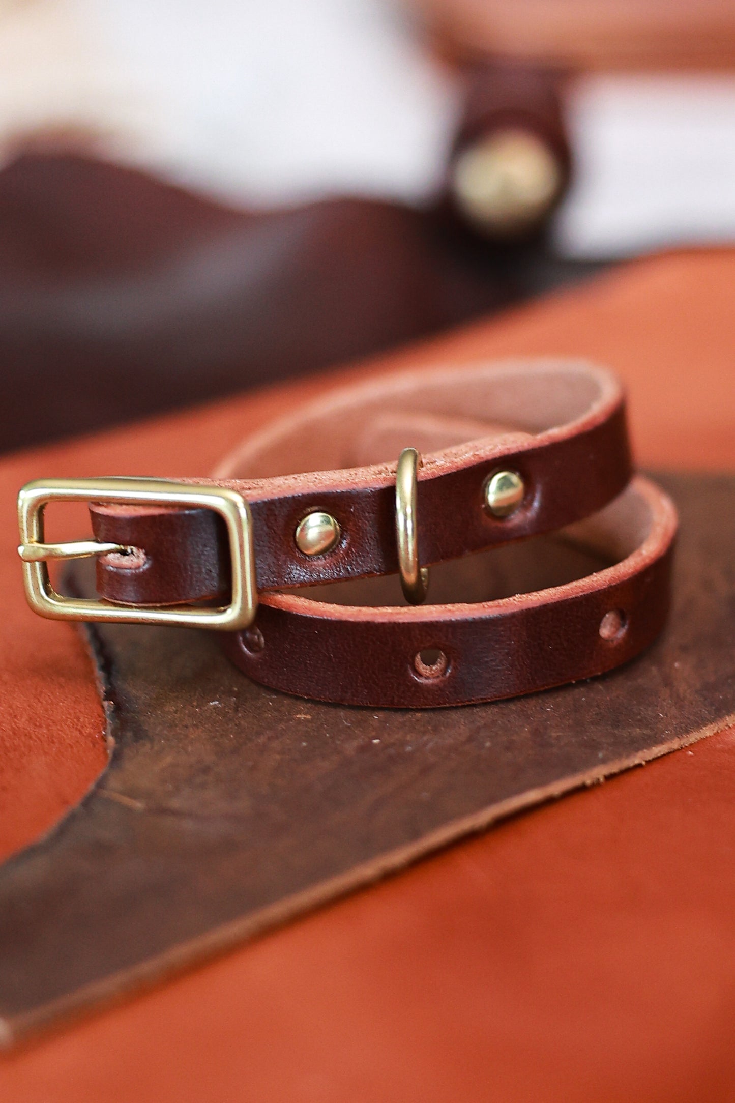 Classic Leather Collar for Dogs or Cats - Small